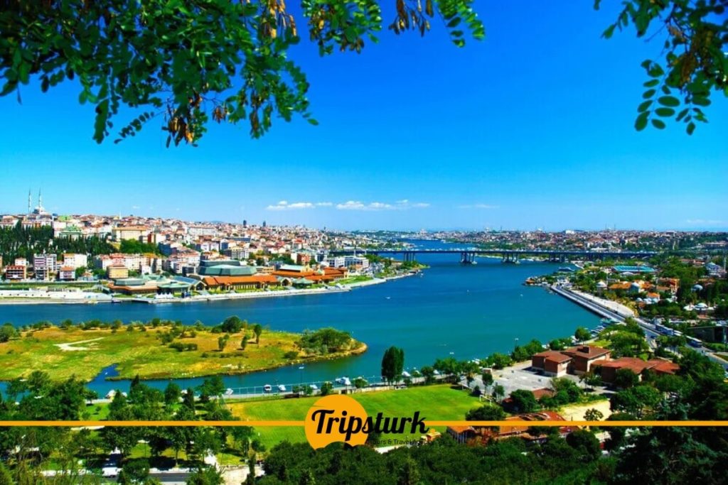 تلة بيرلوتي​